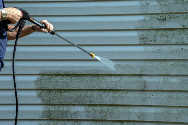 Best Rust Removal  in Hastings, MI