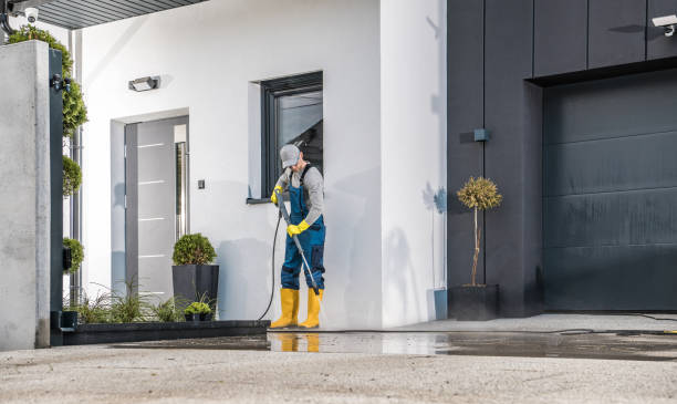 Best Sidewalk and Walkway Cleaning  in Hastings, MI